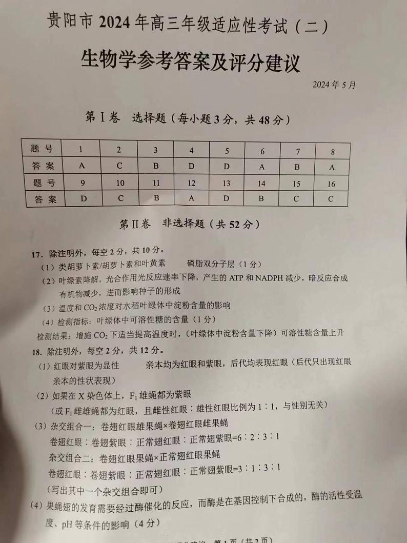 2024届贵州省贵阳市高三下学期5月适应性考试（二）生物试题01