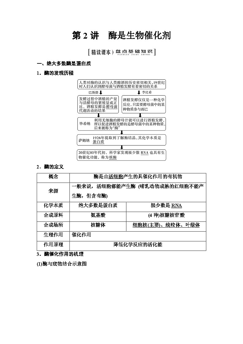 2025届高考 一轮复习  浙科版  酶是生物催化剂 学案（浙江版 ）01