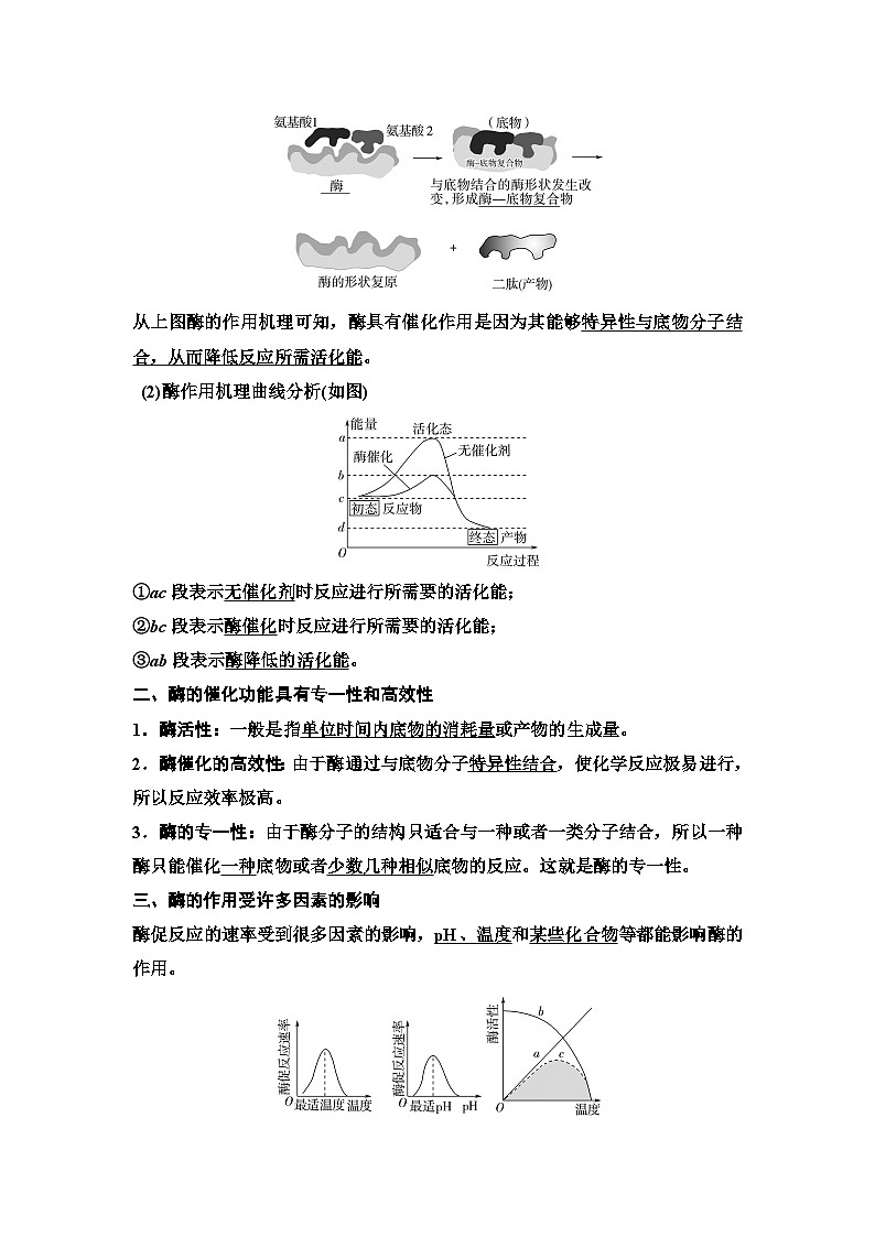 2025届高考 一轮复习  浙科版  酶是生物催化剂 学案（浙江版 ）02