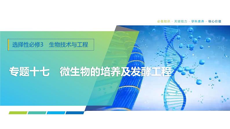 2025届高考 一轮复习 浙科版　微生物的培养、分离与纯化 课件(浙江版)01