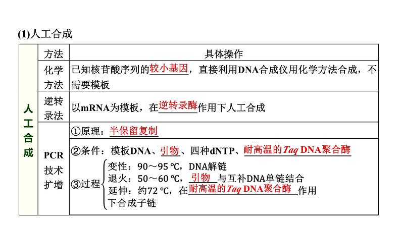 2025届高考 一轮复习 浙科版　基因工程的步骤、应用及其安全性问题 课件(浙江版)第3页