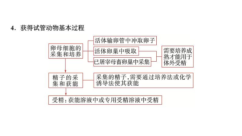 2025届高考 一轮复习 浙科版　胚胎工程及其应用 课件(浙江版)第8页