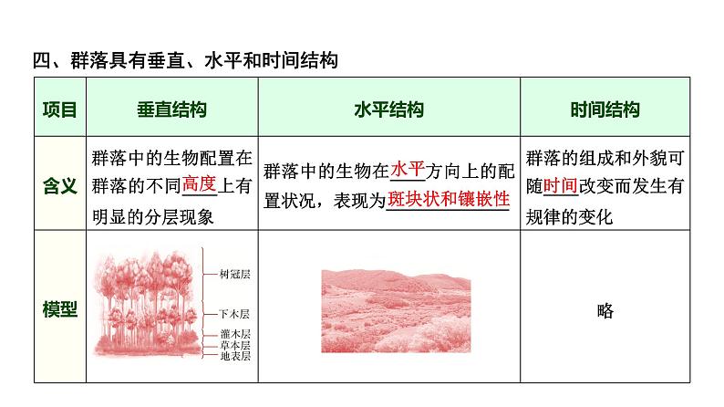 2025届高考 一轮复习 浙科版　群落的结构、类型及群落的演替 课件(浙江版)08