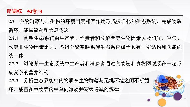 2025届高考 一轮复习 浙科版　生态系统的结构与能量流动 课件(浙江版)02