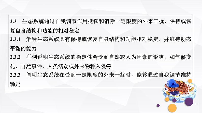 2025届高考 一轮复习 浙科版　生态系统的结构与能量流动 课件(浙江版)04