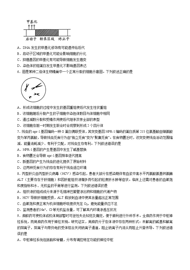 贵州省贵阳市2024届高三下学期5月二模试题生物Word版含答案02