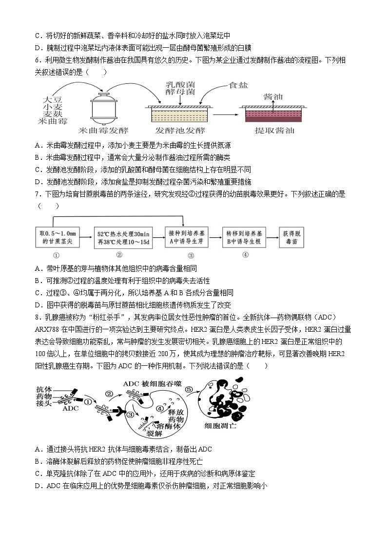 四川成华区某校2023-2024学年高二下学期期中考试生物试题02
