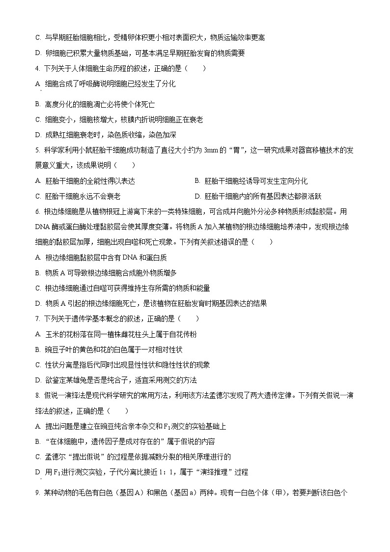 四川省泸州市泸县2023-2024学年高一下学期4月期中生物试题（原卷版+解析版）02