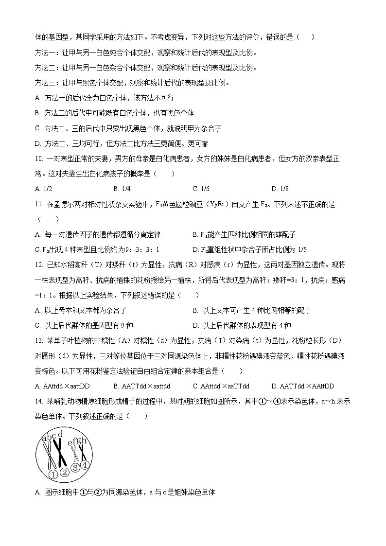 四川省泸州市泸县2023-2024学年高一下学期4月期中生物试题（原卷版+解析版）03