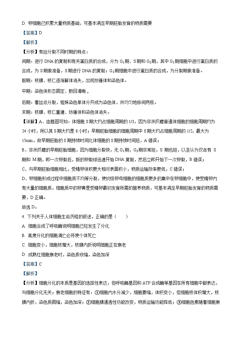 四川省泸州市泸县2023-2024学年高一下学期4月期中生物试题（原卷版+解析版）03