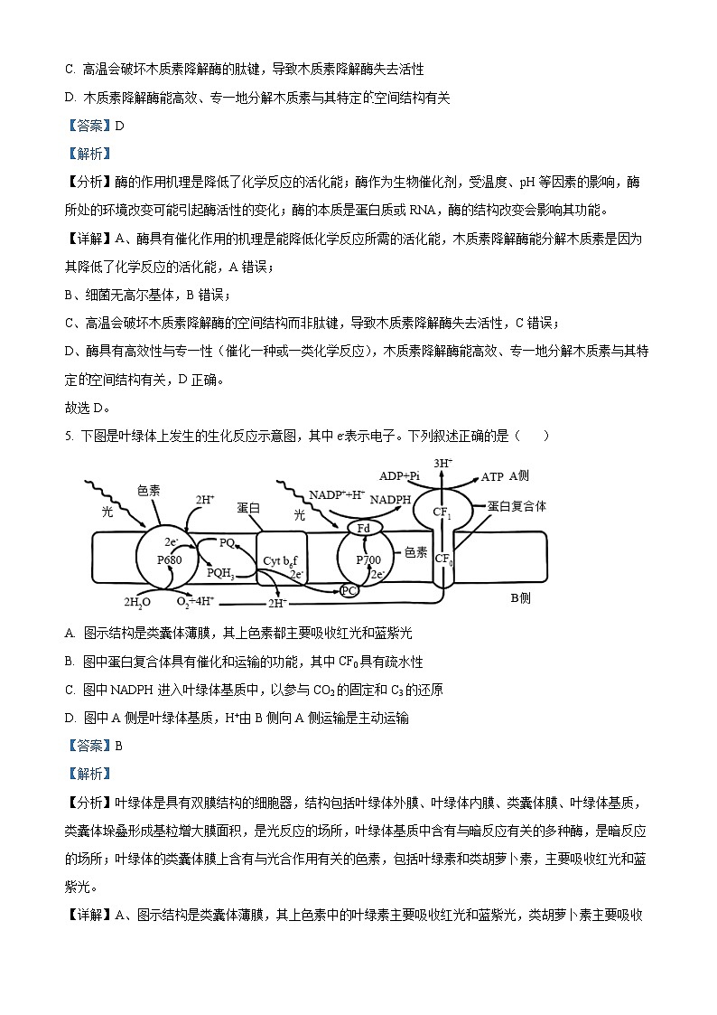 2024年普通高中学业水平选择性考试压轴卷(一模)T8生物试题（解析版）第3页
