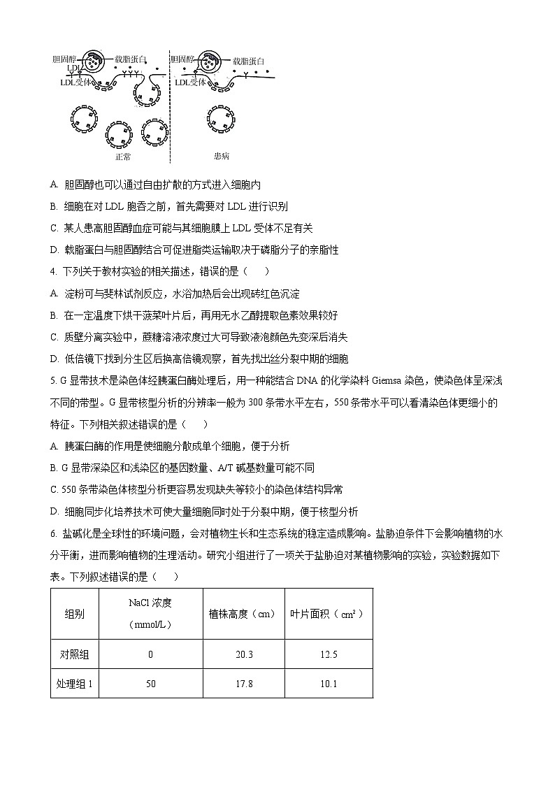 2024年辽宁省高考生物冲刺压轴卷（五）（原卷版）第2页