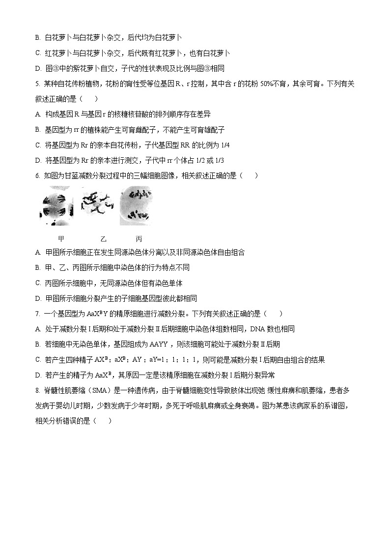 河南省郑州市中原区郑州市第一中学2023-2024学年高一下学期期中生物试卷（原卷版+解析版）02