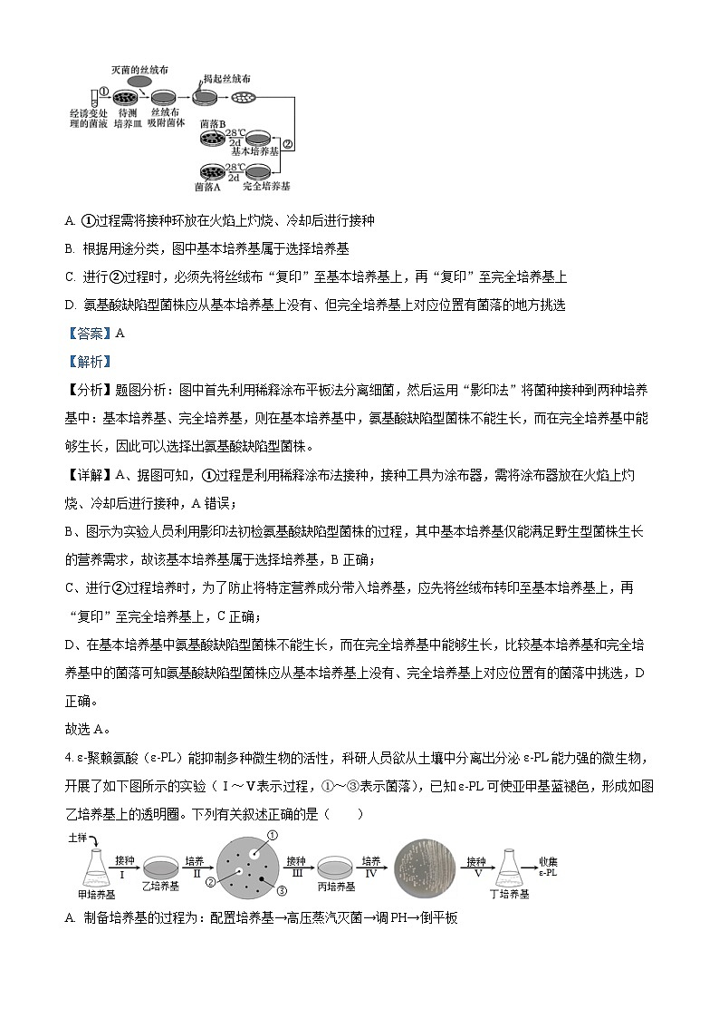 重庆市西南大学附属中学校2023-2021-4学年高二下学期4月期中考试生物试题 （原卷版+解析版）03
