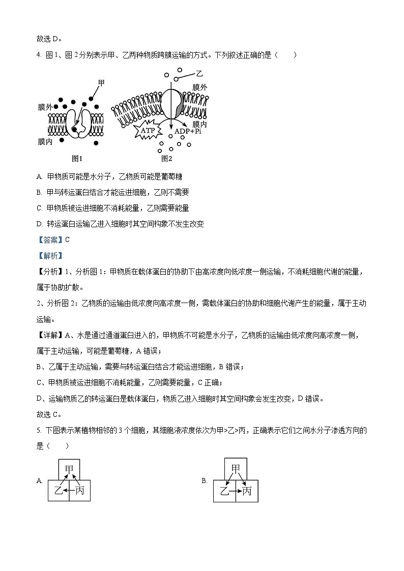 云南省红河哈尼族彝族自治州蒙自市第一高级中学2023-2024学年高一下学期4月月考生物试题（原卷版+解析版）03