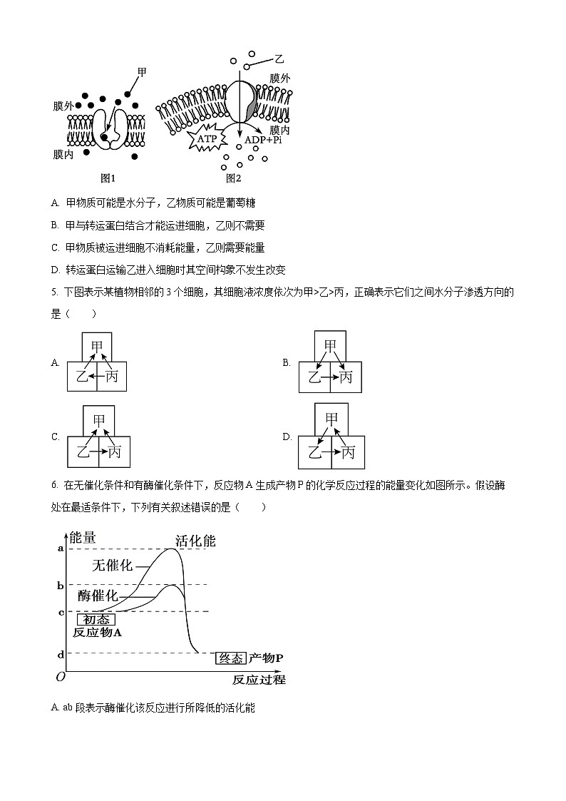 云南省红河哈尼族彝族自治州蒙自市第一高级中学2023-2024学年高一下学期4月月考生物试题（原卷版+解析版）02