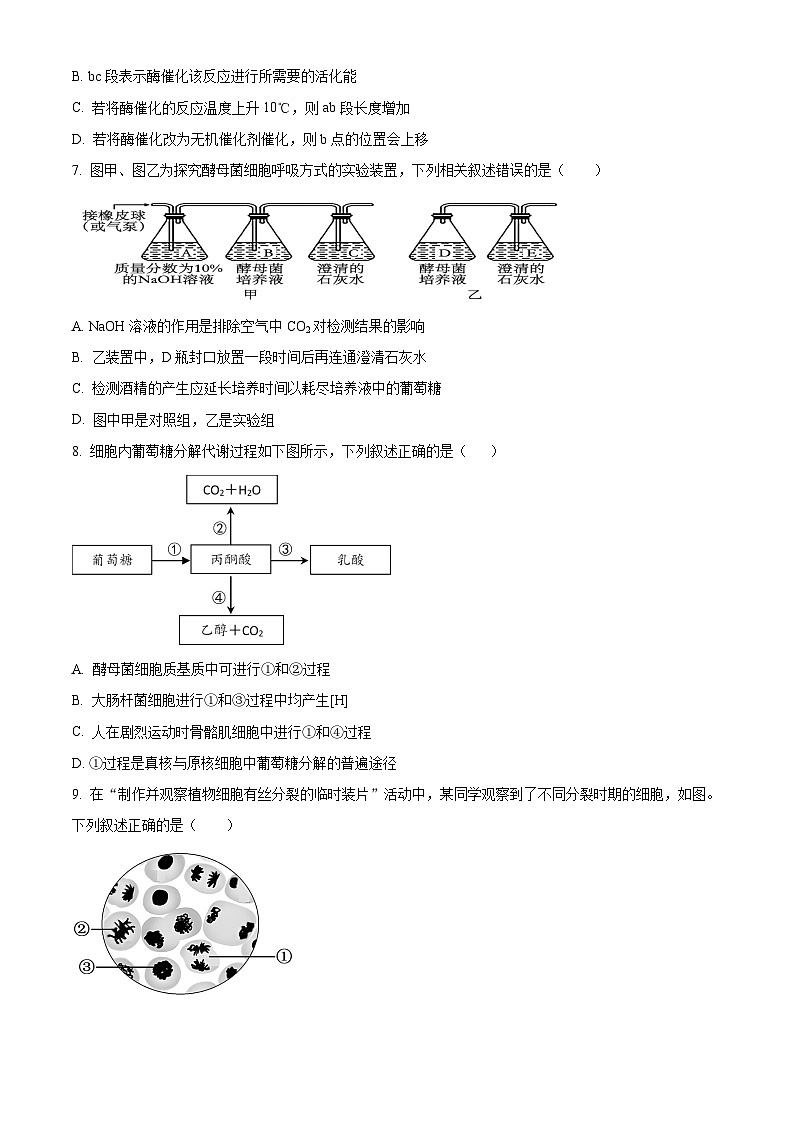 云南省红河哈尼族彝族自治州蒙自市第一高级中学2023-2024学年高一下学期4月月考生物试题（原卷版+解析版）03