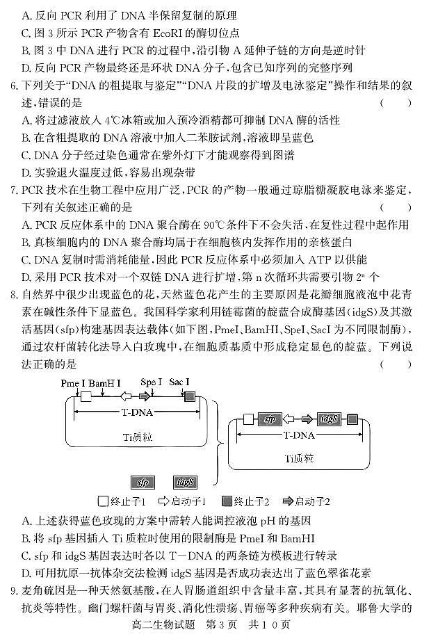 （教研室提供）山东省济宁市兖州区2023-2024学年高二下学期期中考试生物试题03