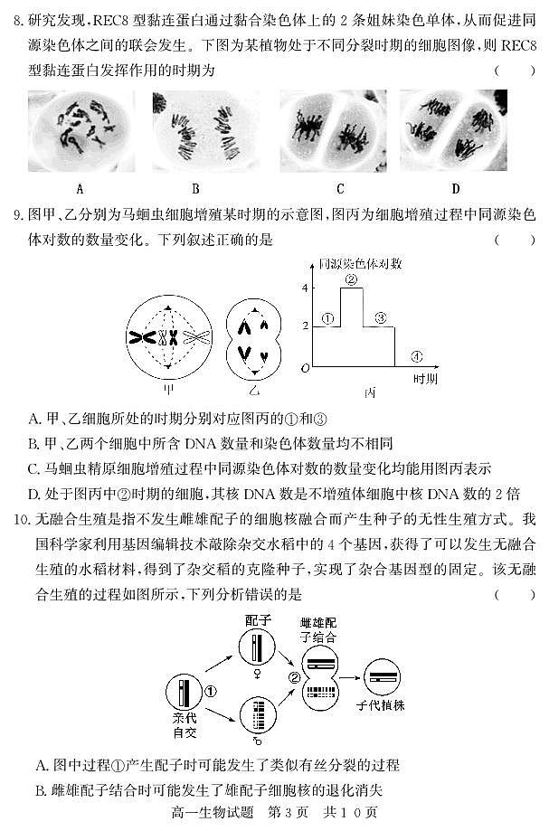 （教研室提供）山东省济宁市兖州区2023-2024学年高一下学期期中考试生物试题03