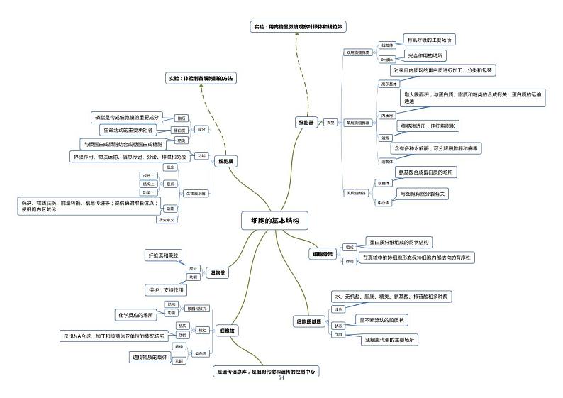高中生物思维导图（PDF版）第3页