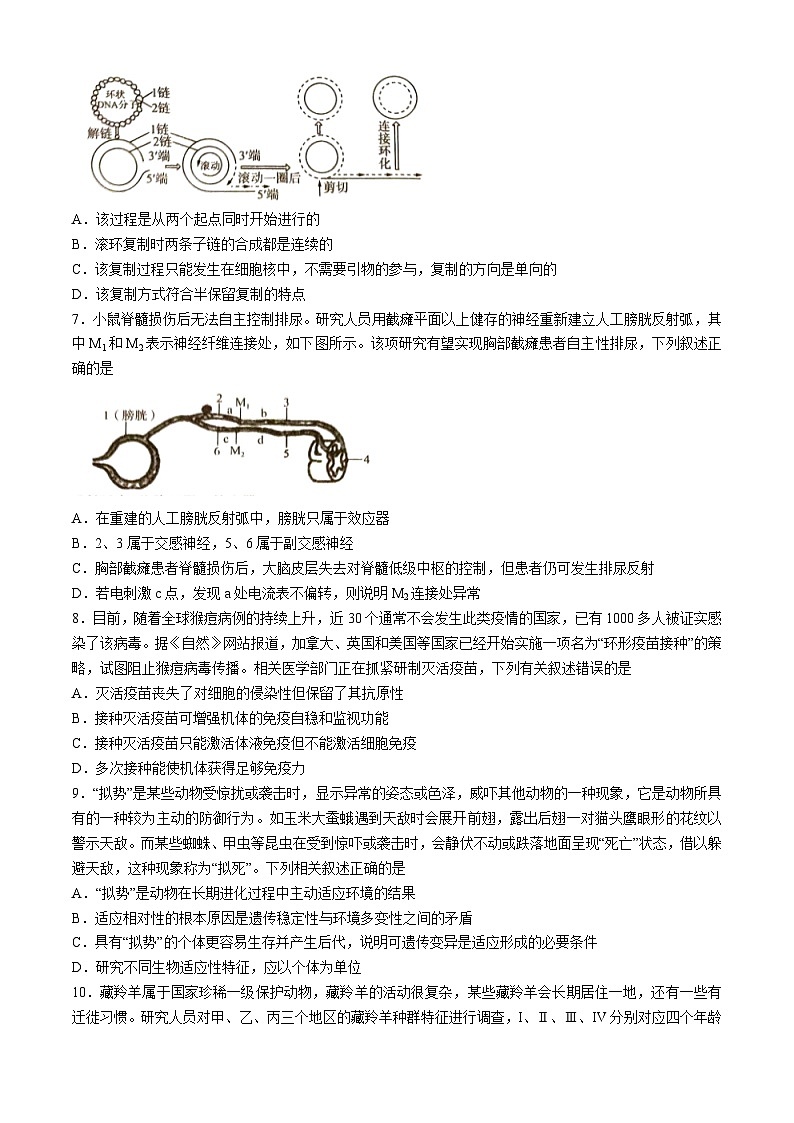 2024娄底高三下学期5月月考生物试题含解析第3页