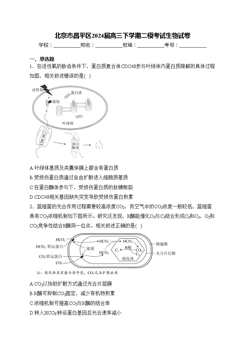 北京市昌平区2024届高三下学期二模考试生物试卷(含答案)01