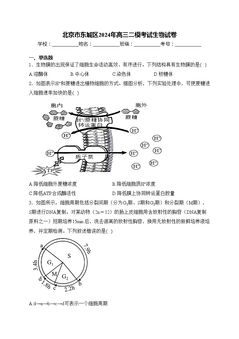 北京市东城区2024年高三二模考试生物试卷(含答案)第1页