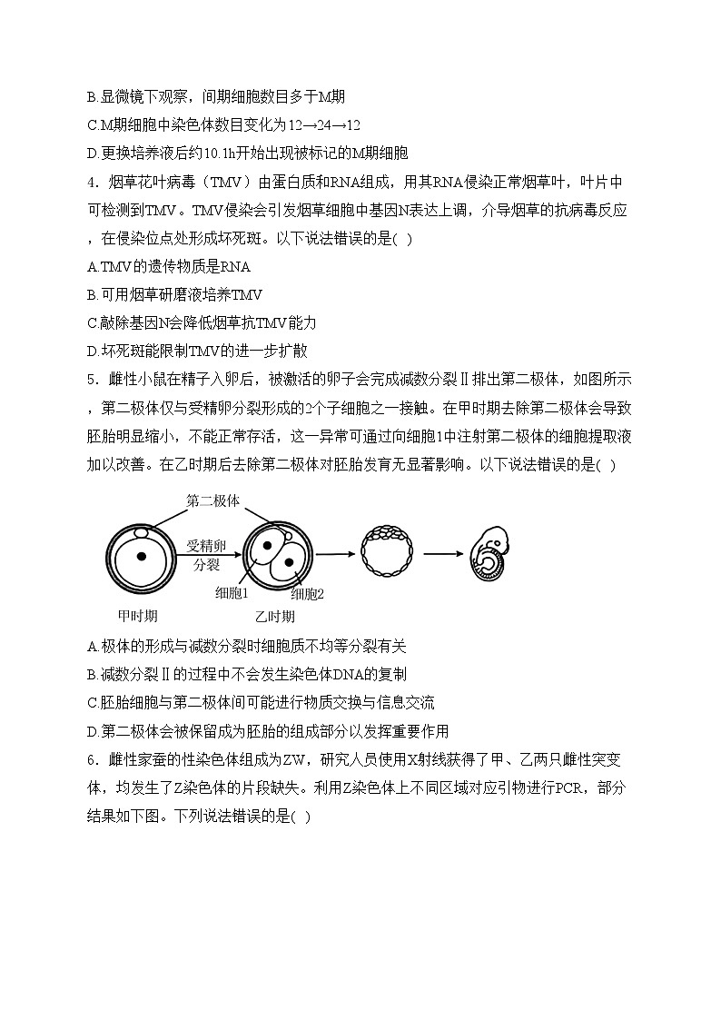 北京市东城区2024年高三二模考试生物试卷(含答案)第2页
