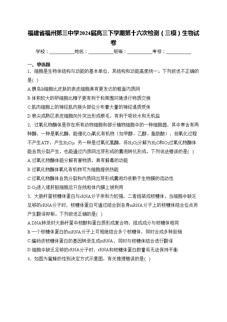 福建省福州第三中学2024届高三下学期第十六次检测（三模）生物试卷(含答案)01