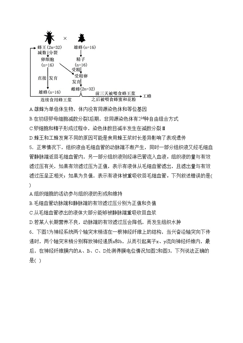 福建省福州第三中学2024届高三下学期第十六次检测（三模）生物试卷(含答案)02