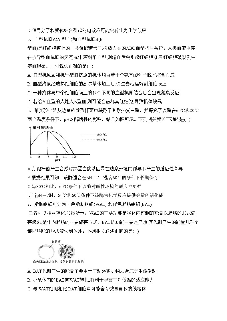 抚顺市第一中学2022届高三下学期5月模拟考试生物试卷(含答案)02