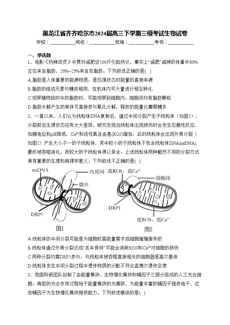黑龙江省齐齐哈尔市2024届高三下学期三模考试生物试卷(含答案)01