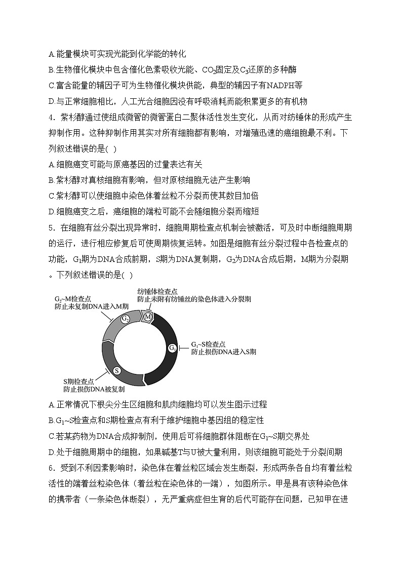 黑龙江省齐齐哈尔市2024届高三下学期三模考试生物试卷(含答案)02