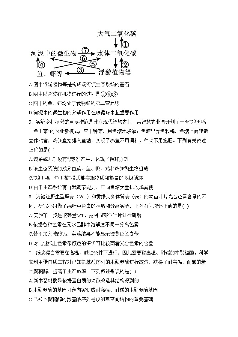 吉林省白山市2024届高三下学期二模生物试卷(含答案)02