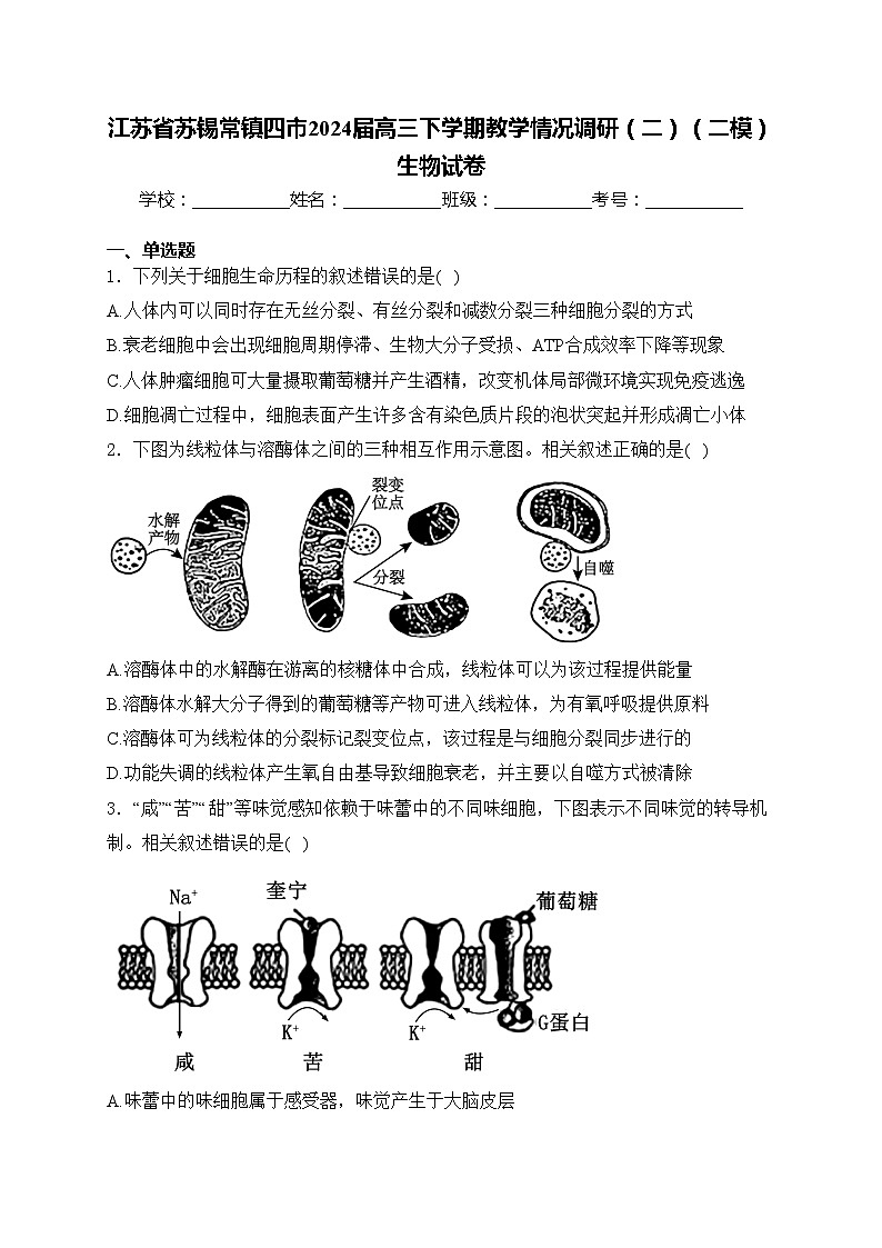 江苏省苏锡常镇四市2024届高三下学期教学情况调研（二）（二模）生物试卷(含答案)第1页
