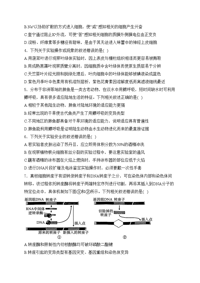 江苏省苏锡常镇四市2024届高三下学期教学情况调研（二）（二模）生物试卷(含答案)第2页