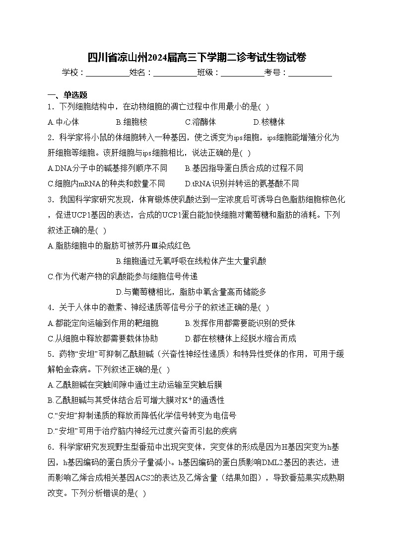 四川省凉山州2024届高三下学期二诊考试生物试卷(含答案)第1页