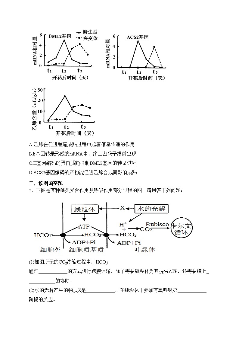四川省凉山州2024届高三下学期二诊考试生物试卷(含答案)第2页