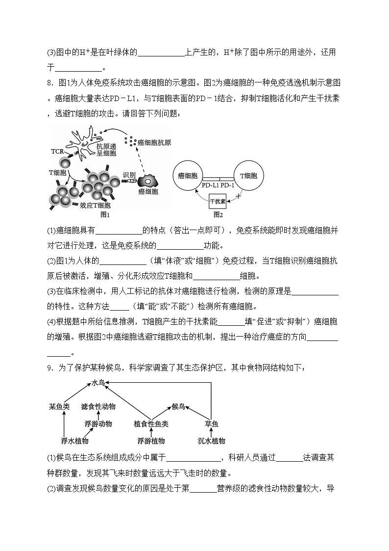 四川省凉山州2024届高三下学期二诊考试生物试卷(含答案)第3页