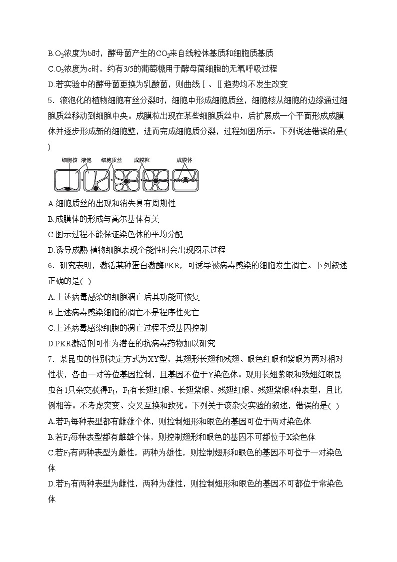 西峡县第一高级中学2024届高三上学期11月阶段测试生物试卷(含答案)第2页