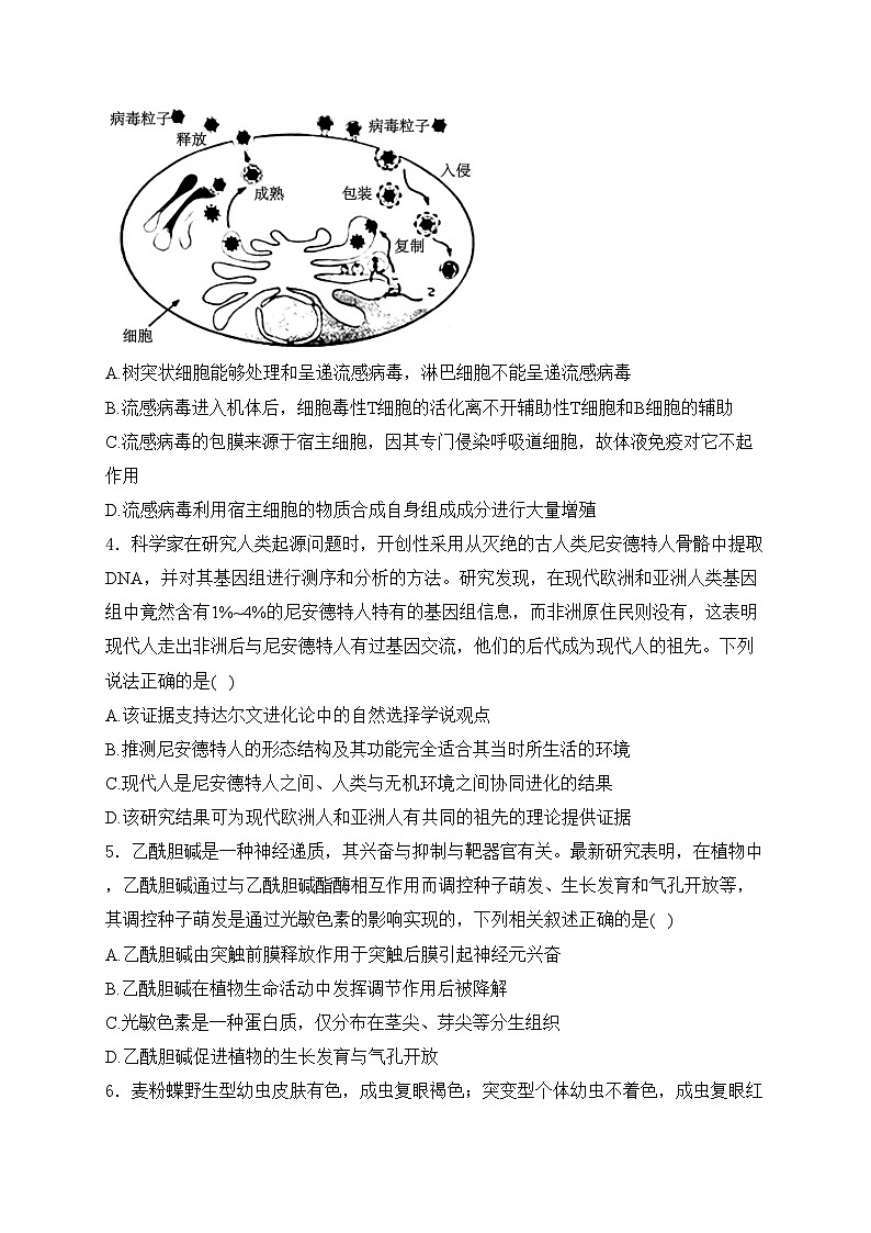 湘豫名校联考2024届高三下学期第二次模拟考试生物试卷(含答案)02