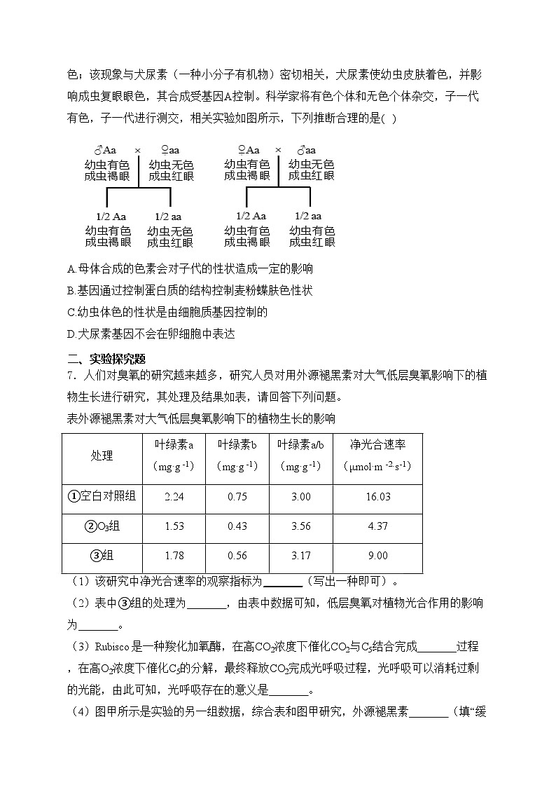 湘豫名校联考2024届高三下学期第二次模拟考试生物试卷(含答案)03