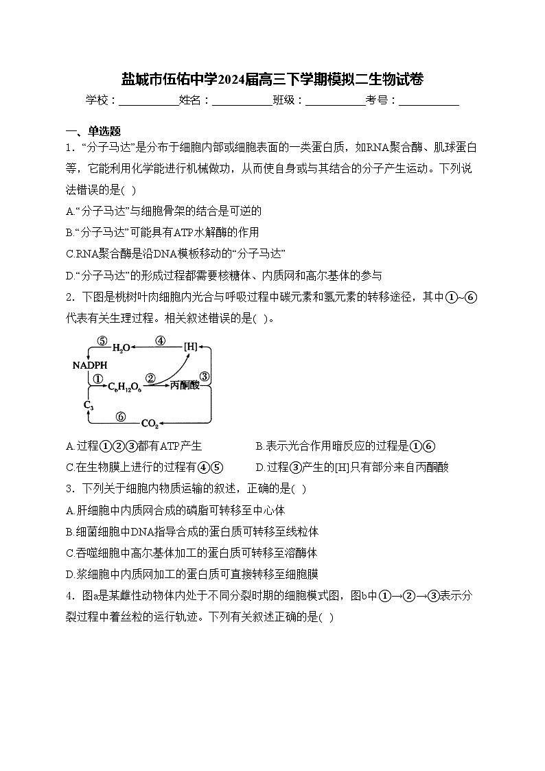 盐城市伍佑中学2024届高三下学期模拟二生物试卷(含答案)01
