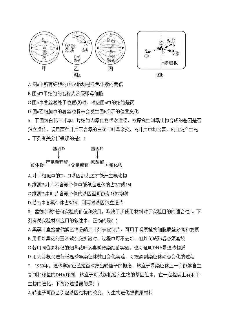 盐城市伍佑中学2024届高三下学期模拟二生物试卷(含答案)02