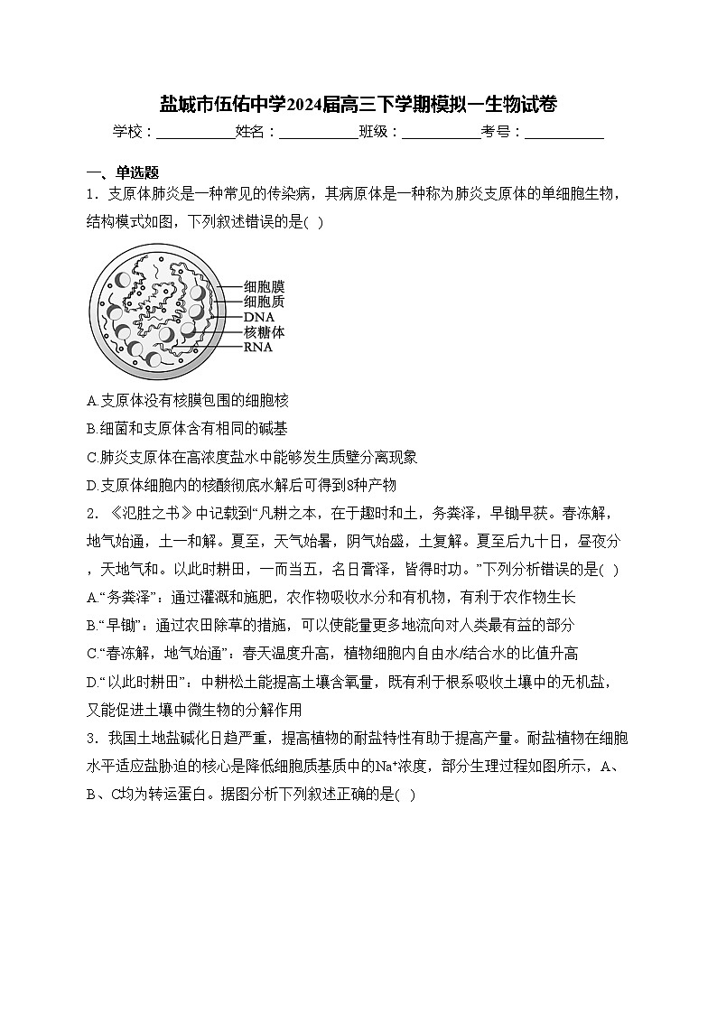 盐城市伍佑中学2024届高三下学期模拟一生物试卷(含答案)01