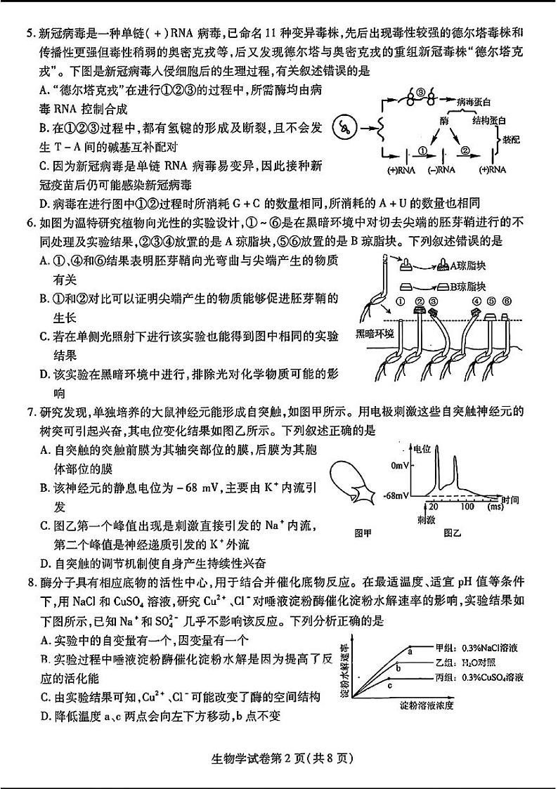 2024届东北三省三校高三第三次联合模拟考试生物试题+答案第2页