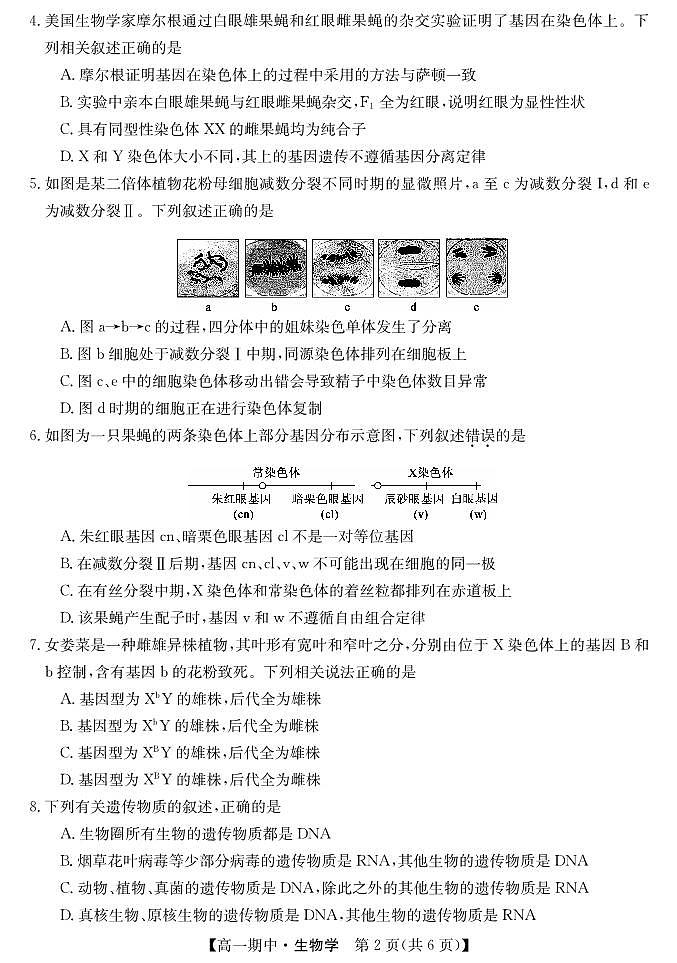 甘肃省庆阳市华池县第一中学2023-2024学年高一下学期期中考试生物试题02