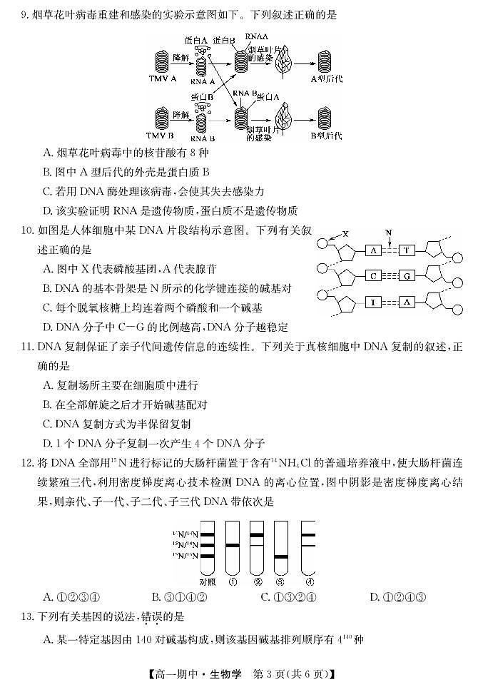 甘肃省庆阳市华池县第一中学2023-2024学年高一下学期期中考试生物试题03