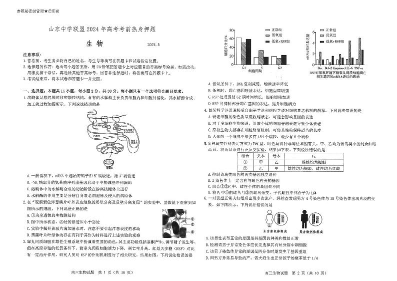 2024届山东中学联盟高三下学期考前热身押题生物试题01