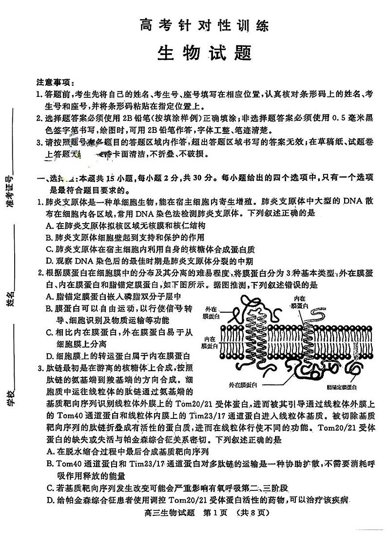 2024届山东省济南市高三三模针对性训练生物试题+参考答案（5月17日济南三模）01